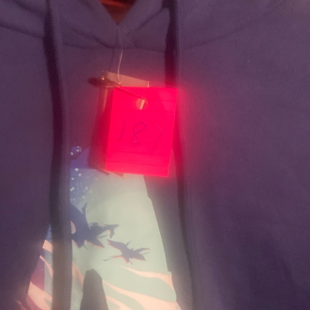 #187 Avatar blue hoodie small new with tags